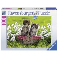 Ravensburger Puzzel Picknick In De Wei - 1000 Stukjes