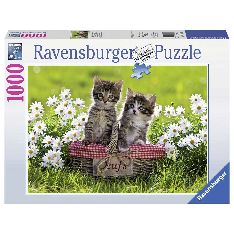 Ravensburger Puzzel Picknick In De Wei - 1000 Stukjes 1 Ravensburger Puzzel Picknick In De Wei - 1000 Stukjes